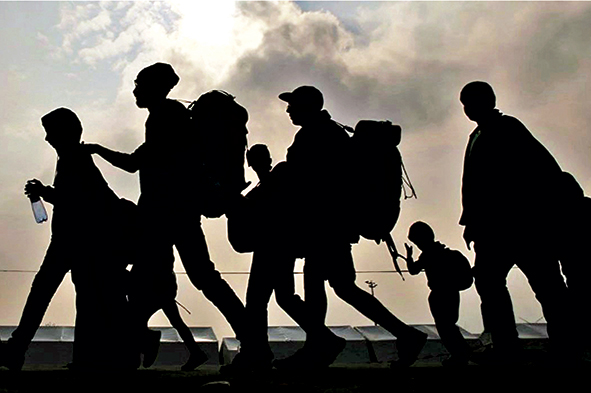 Colombia: Terminales genéticos, migraciones y envejecimiento poblacional - Tiempo de Crisis
